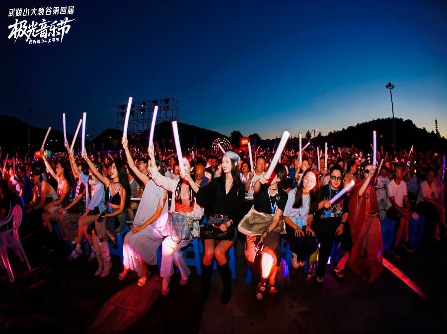 音樂節(jié)策劃公司 (5)