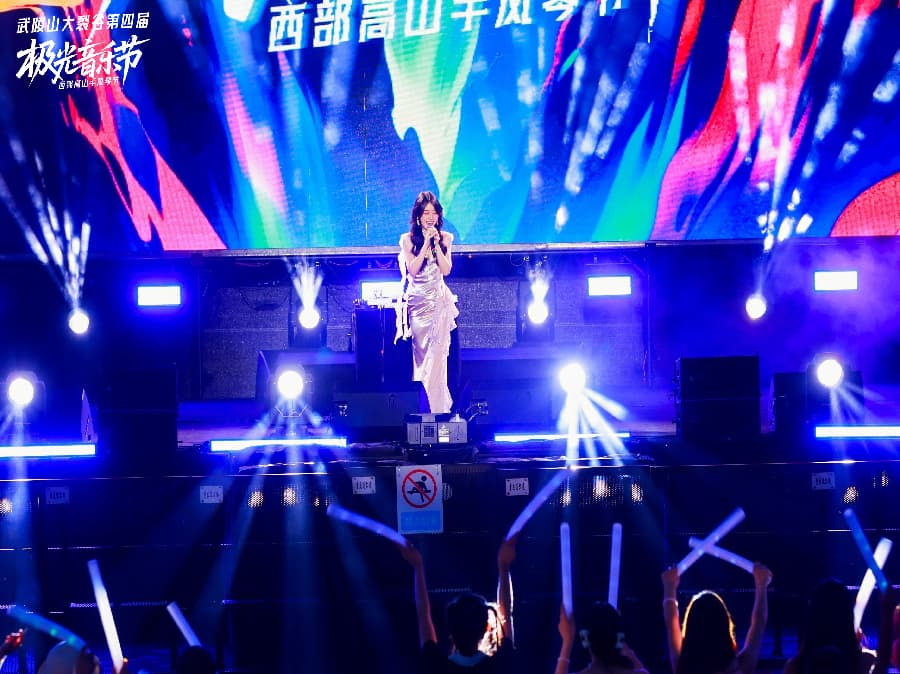 音樂節(jié)策劃公司 (14)